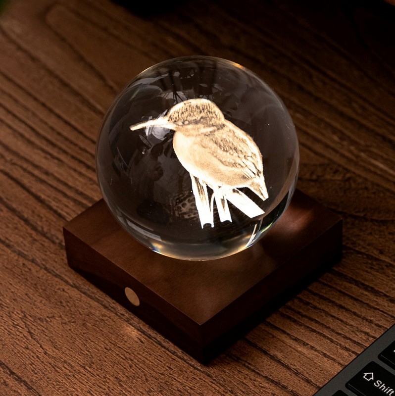 Sfera luminosa ricaricabile di cristallo con martin pescatore in 3D all'interno su base in legno di noce
