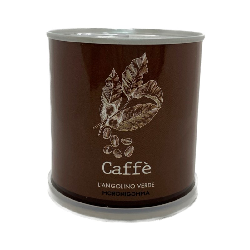 Pianta di caffè in barattolo, pronta da coltivare