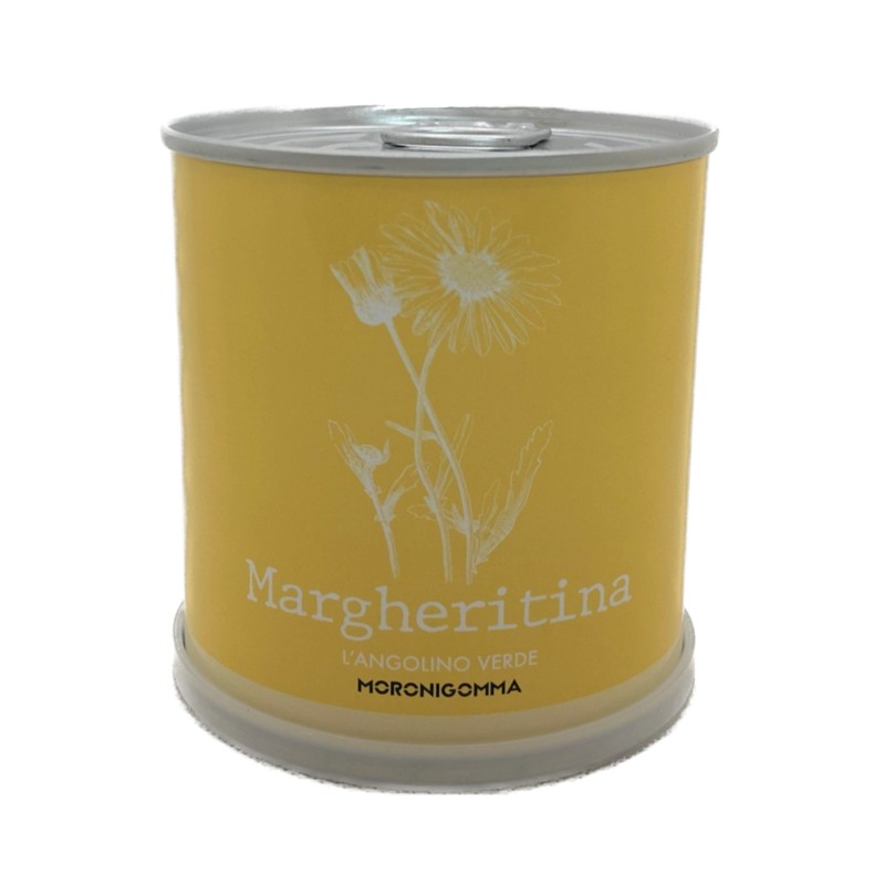 Fiori di margherita in barattolo, pronti da coltivare