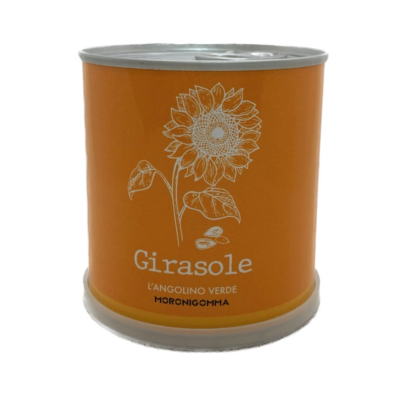 Fiori di girasole in barattolo, pronti da coltivare