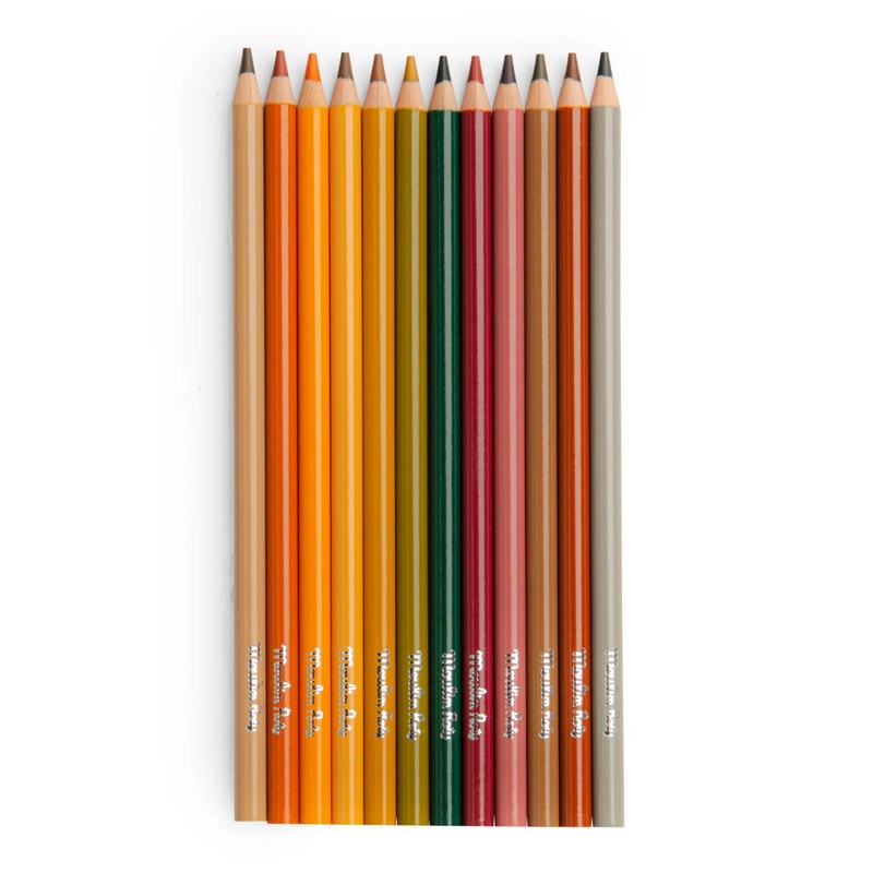 Set 12 matite dei colori degli animali con 3 disegni da colorare