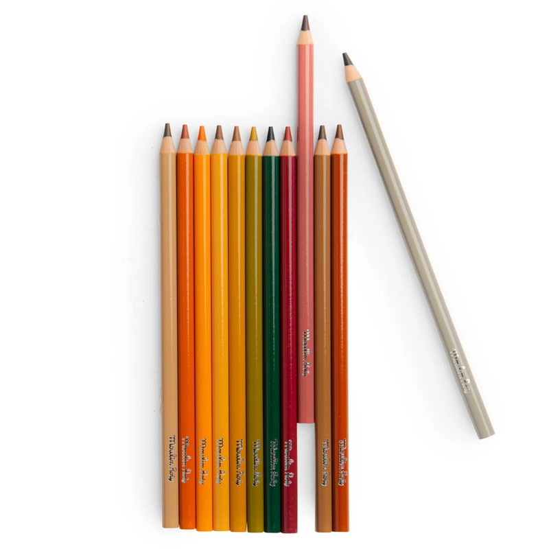 Set 12 matite dei colori degli animali con 3 disegni da colorare