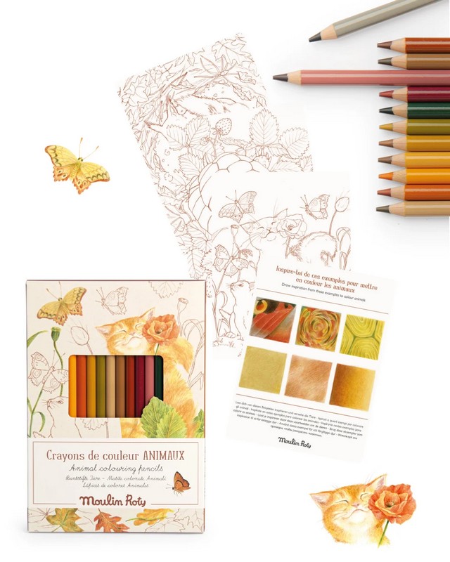 Set 12 matite dei colori degli animali con 3 disegni da colorare
