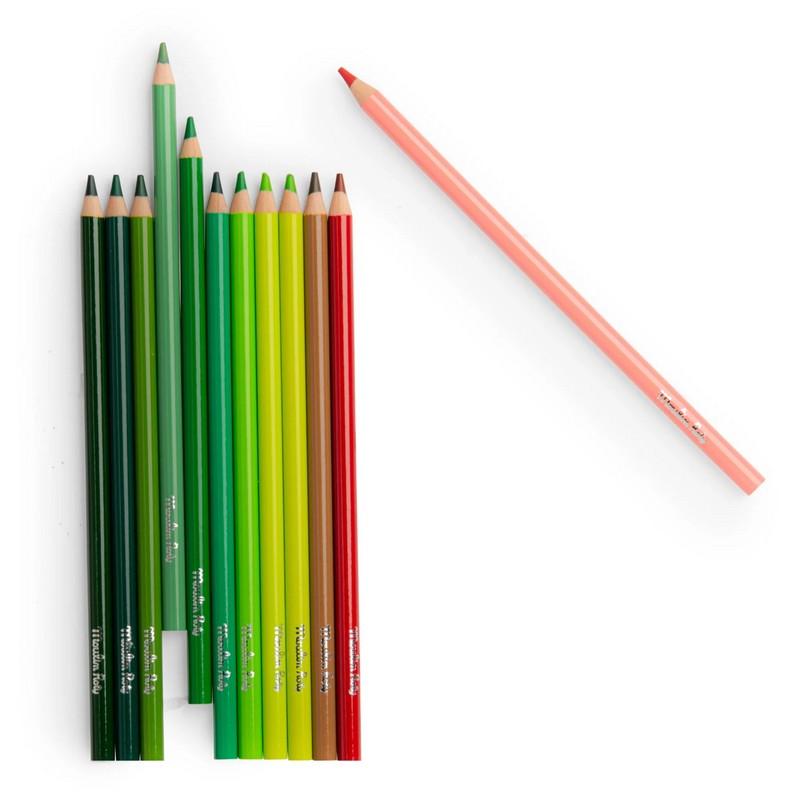 Set 12 matite dei colori della natura con 3 disegni da colorare