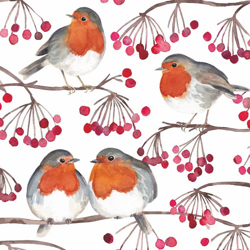 Set 20 tovaglioli di carta decorati con pettirossi e bacche rosse
