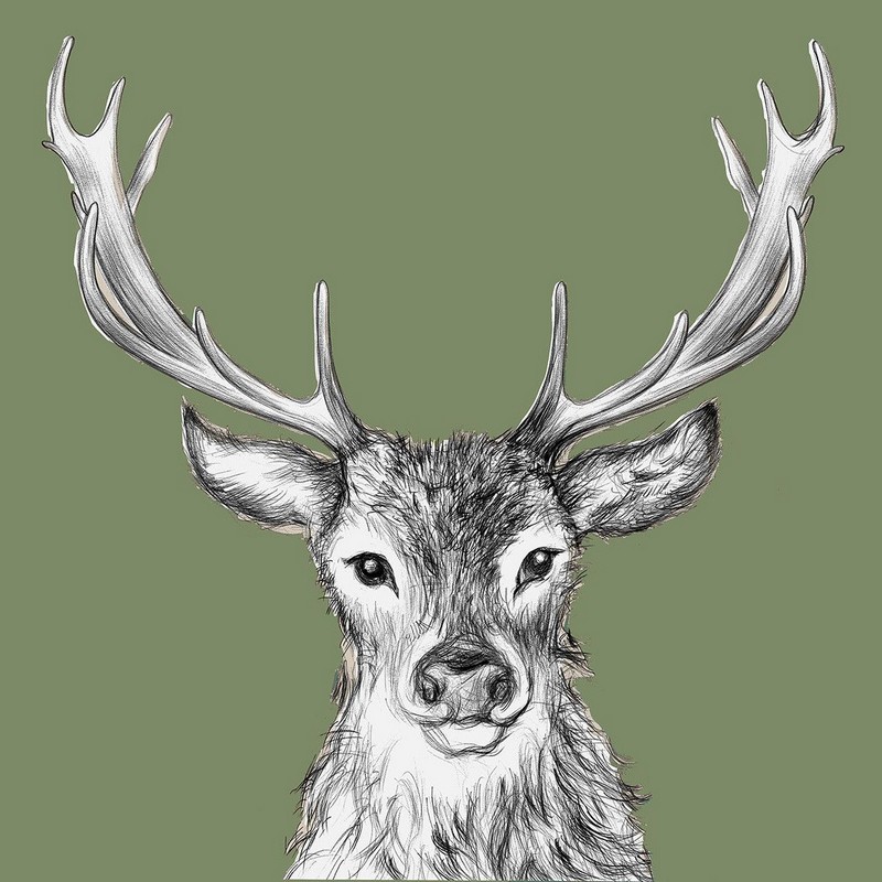 Set 20 tovaglioli di carta decorati con cervo su fondo verde