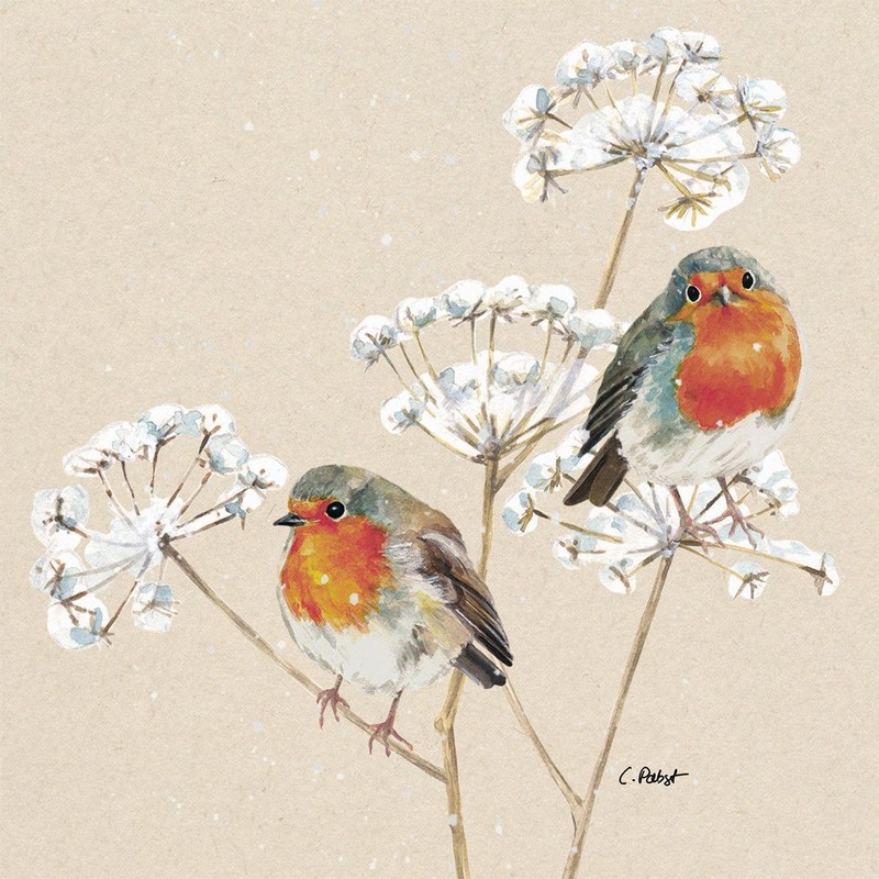 Set 20 tovaglioli di carta decorati con coppia di pettirossi