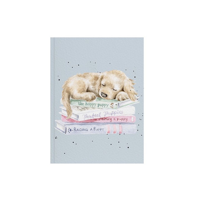 Quaderno dimensione A6 decorato con disegno di cucciolo di cane che dorme sui libri