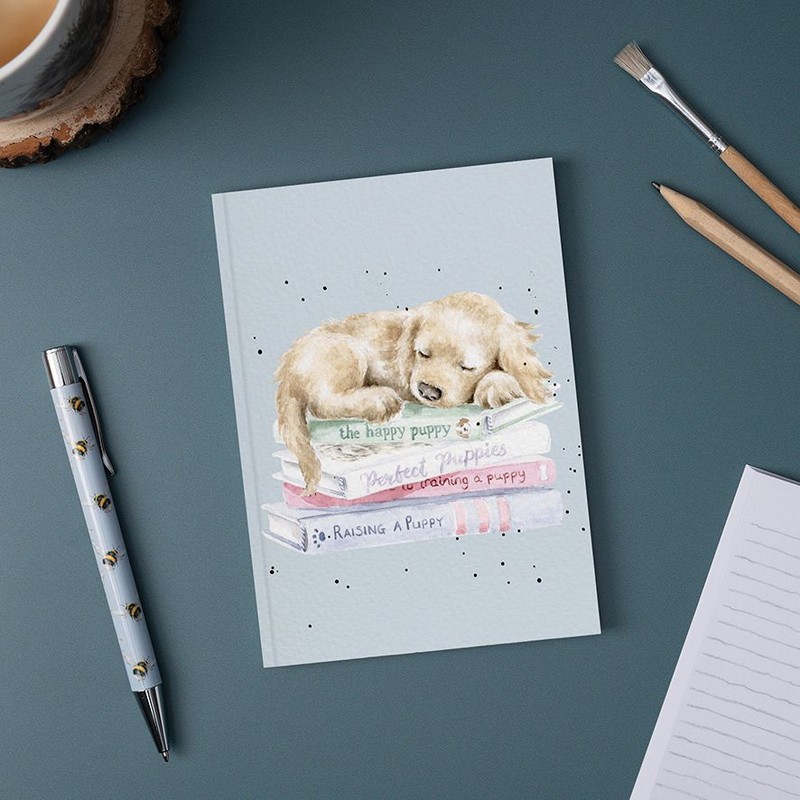 Quaderno dimensione A6 decorato con disegno di cucciolo di cane che dorme sui libri
