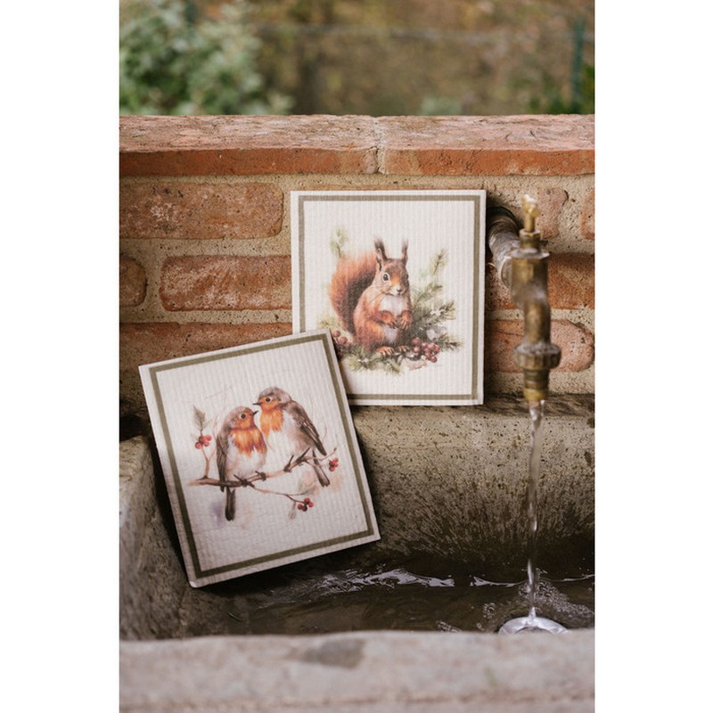 Set 6 spugne in cellulosa 100% compostabili, 3 raffiguranti scoiattolo e 3 raffiguranti pettirossi, per un'originale idea regalo autunno o Natale