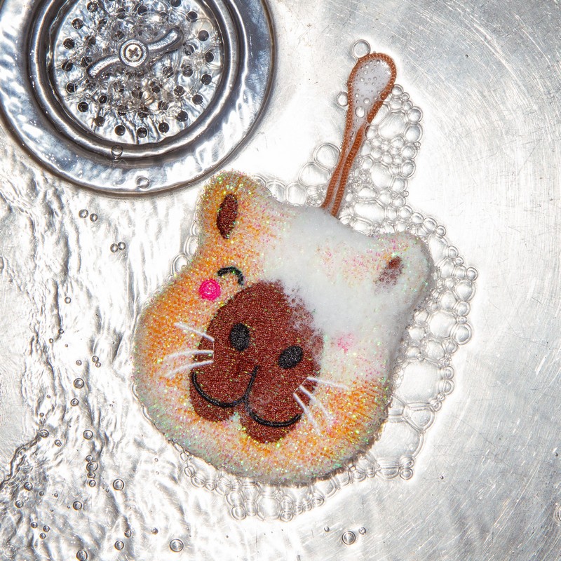 Set 2 spugne per piatti a forma di capibara, per un'idea regalo divertente e originale