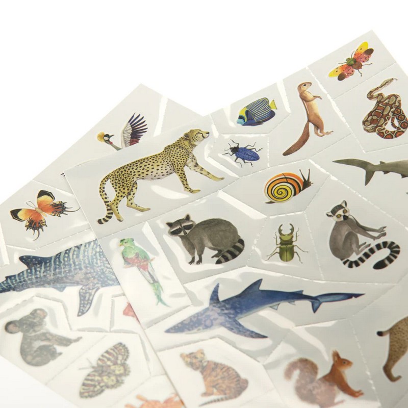 Set tatuaggi temporanei a tema animali del mondo - una fantastica idea regalo per bambini!