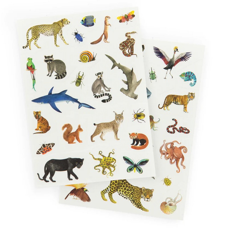 Set tatuaggi temporanei a tema animali del mondo - una fantastica idea regalo per bambini!