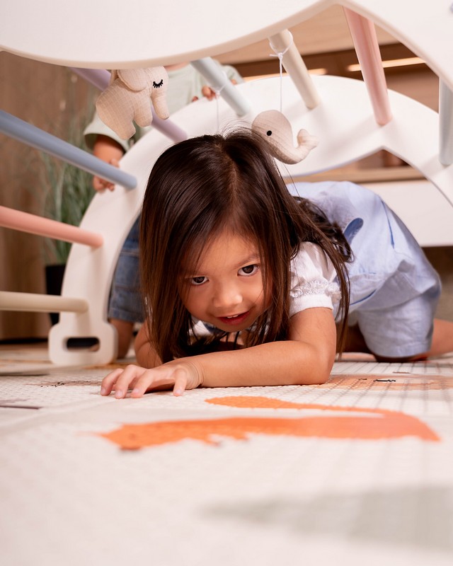 Tappeto da gioco Montessori 2 in 1, con decoro reversibile, facilmente pieghevole e riponibile nella borsa inclusa - un'utilissima idea regalo per neonati, bambini e neogenitori!