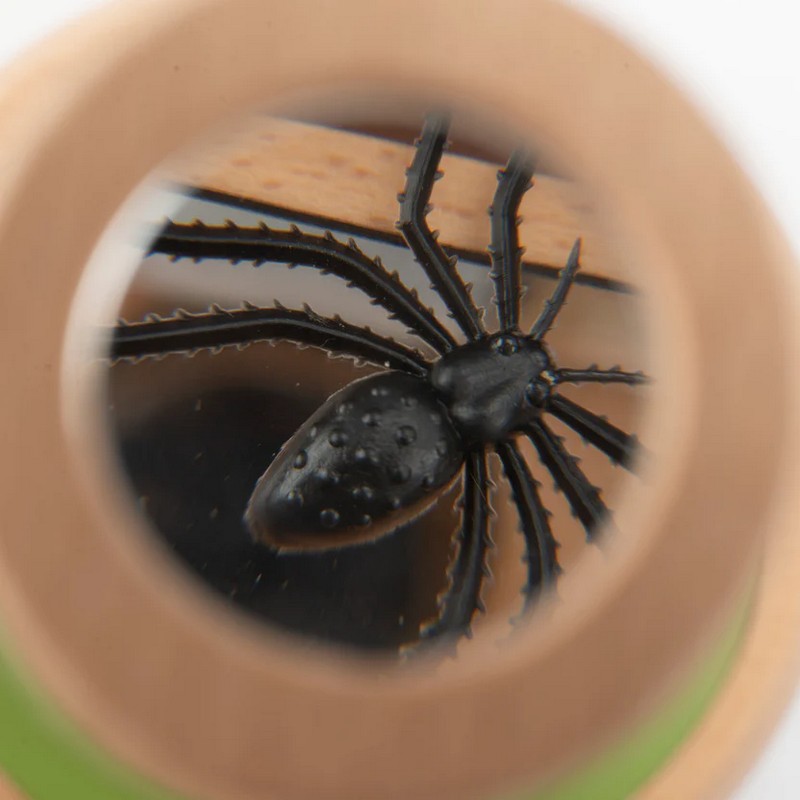 Lente di ingrandimento 6x con contenitore in legno per l'osservazione di campioni simil microscopio, perfetta come idea regalo per bambini curiosi