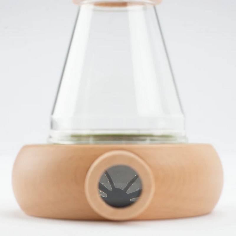 Lente di ingrandimento 6x con contenitore in legno per l'osservazione di campioni simil microscopio, perfetta come idea regalo per bambini curiosi