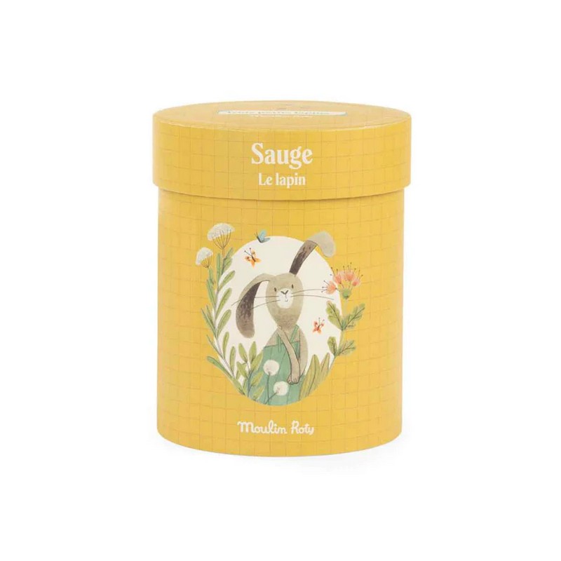 Peluche con vestito in scatola regalo decorata, perfetto come idea regalo per neonati