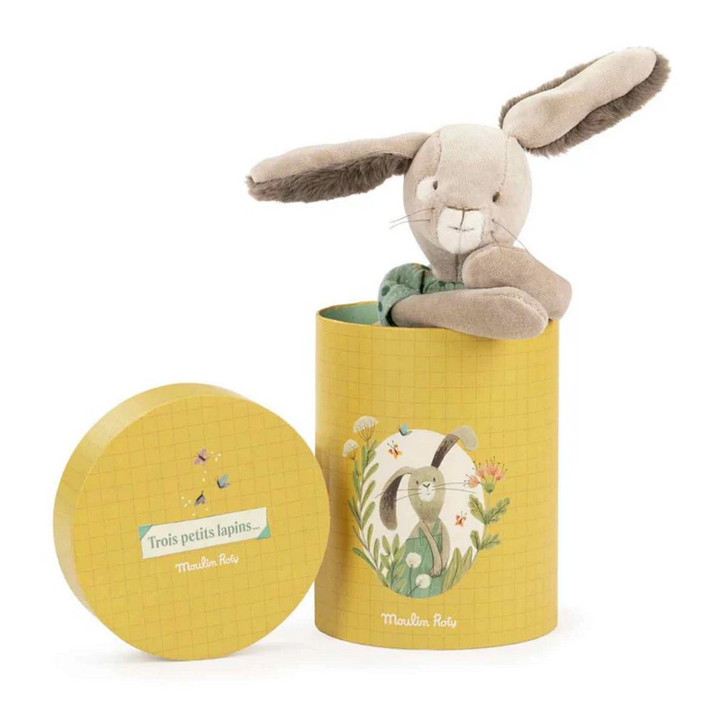 Peluche con vestito in scatola regalo decorata, perfetto come idea regalo per neonati