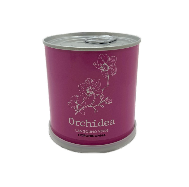 Fiori di orchidea in barattolo, pronti da coltivare