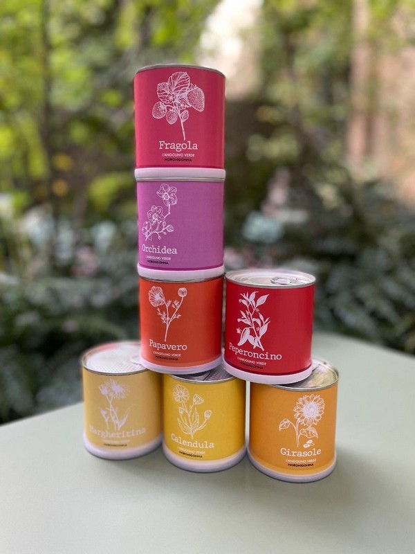 Fiori di papavero in barattolo, pronti da coltivare