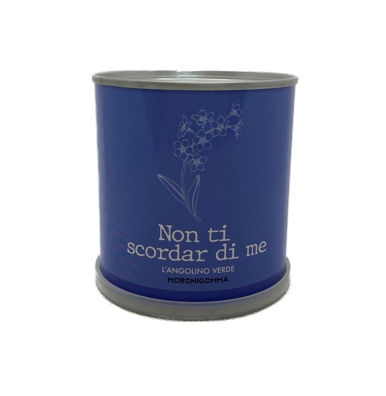 Fiori di non ti scordar di me in barattolo, pronti da coltivare