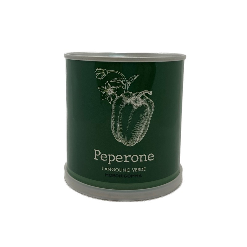 Pianta di peperone in barattolo, pronta da coltivare