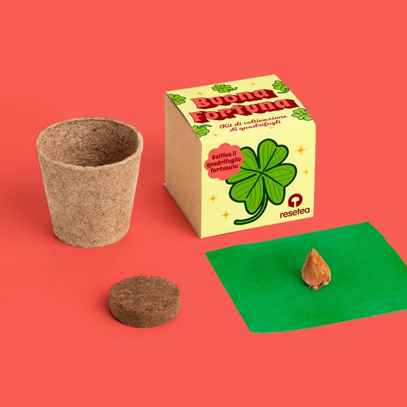 Kit di coltivazione portafortuna con quadrifogli