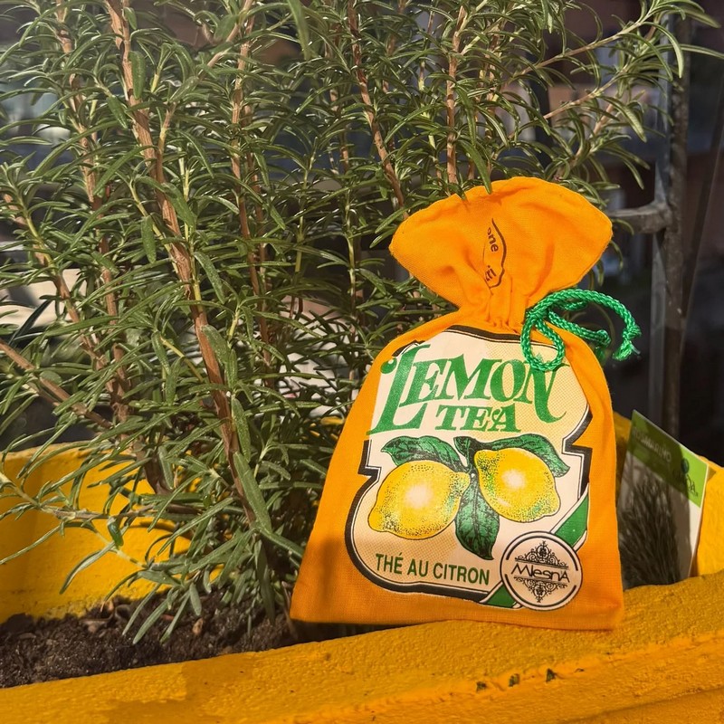 10 filtri di tè al limone contenuti in un sacchetto di cotone