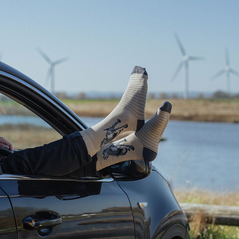 Paio di calze da uomo verdi in viscosa derivata dal bambù decorate con cane labrador nero