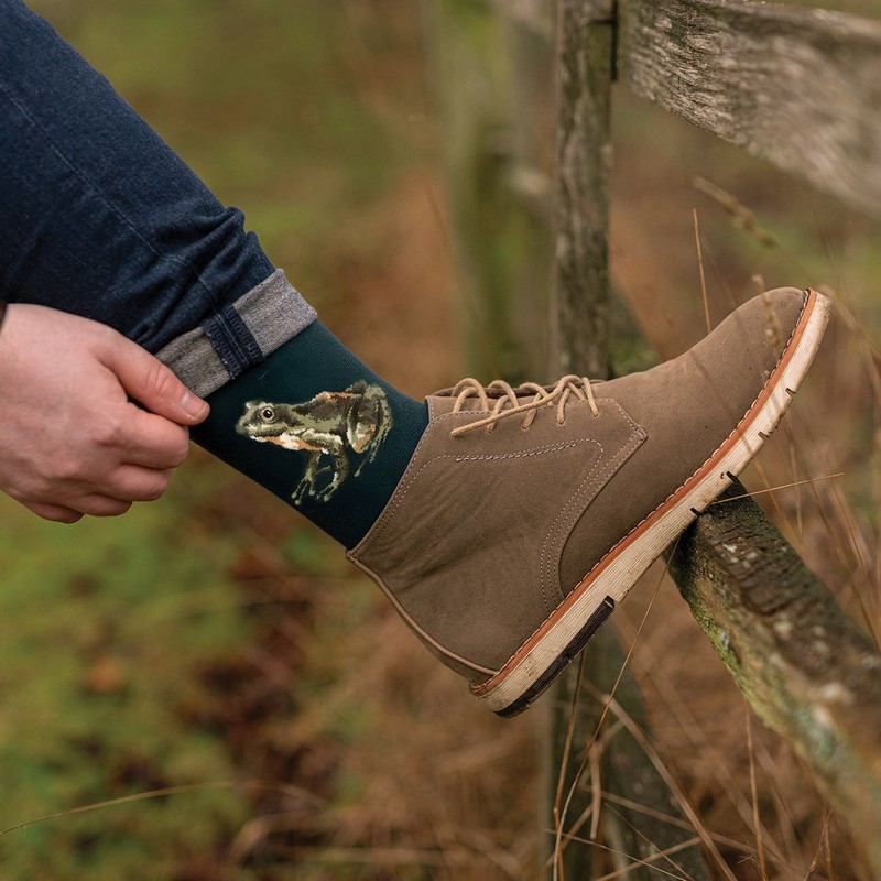 Paio di calze verdi da uomo in viscosa derivata dal bambù decorate con rana