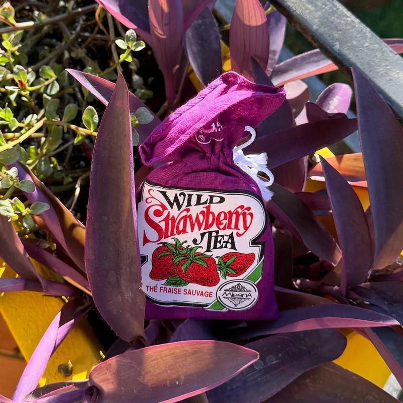 Tè alla fragola in sacchetto di cotone contenente 10 filtri