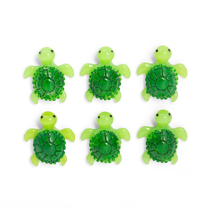 Set 6 magneti a forma di tartaruga