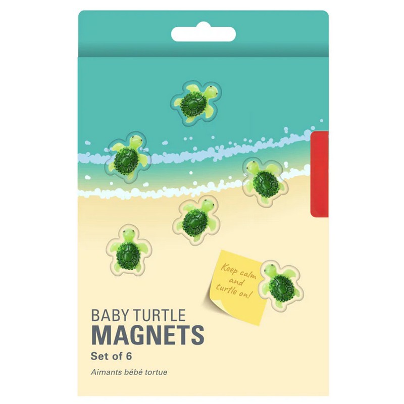 Set 6 magneti a forma di tartaruga