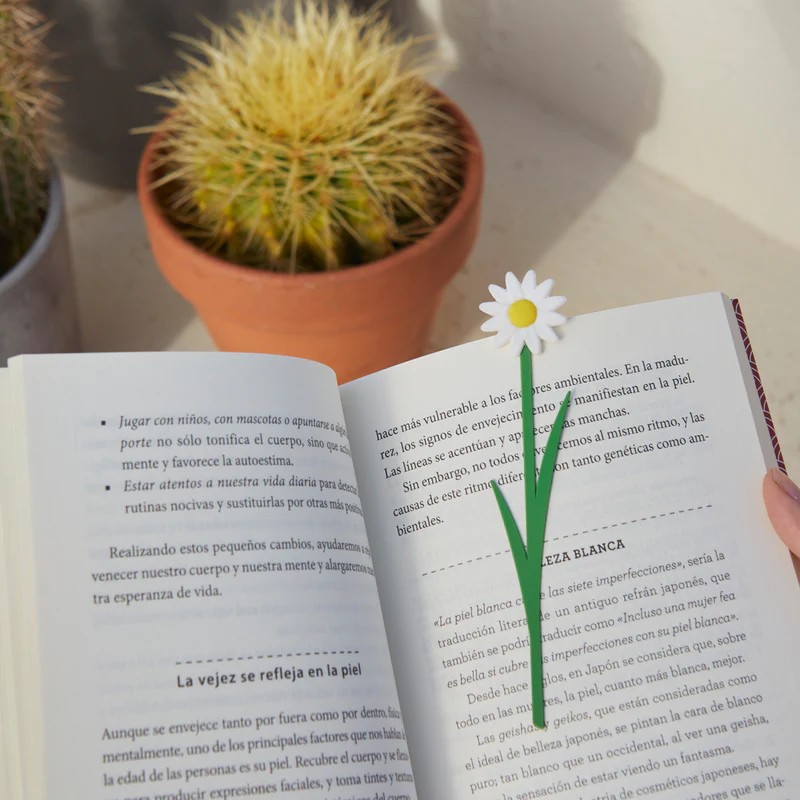 Segnalibro a forma di margherita bianca in scatola con dedica e significato del fiore