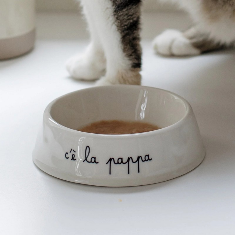 Ciotola per gatto in ceramica bianca decorata con scritta 