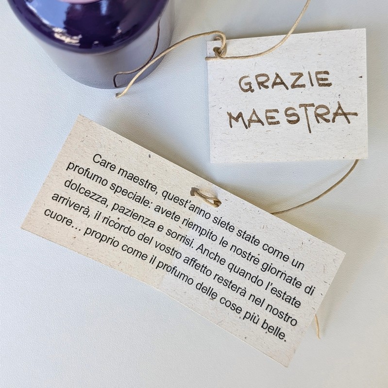 Biglietto per maestra 
