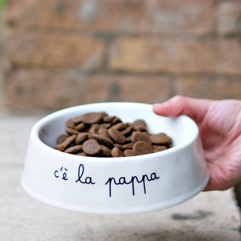 Ciotola per cane o gatto in ceramica bianca decorata con scritta 