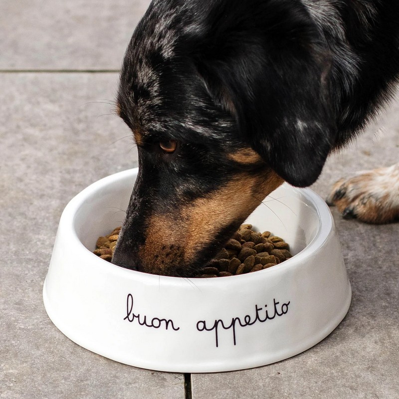 Ciotola per cane XL in ceramica bianca decorata con scritta 