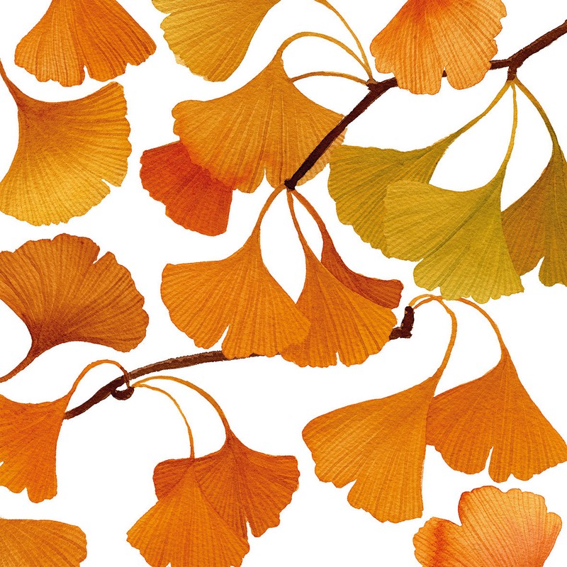 Set 20 tovaglioli di carta decorati con foglie arancioni di ginkgo