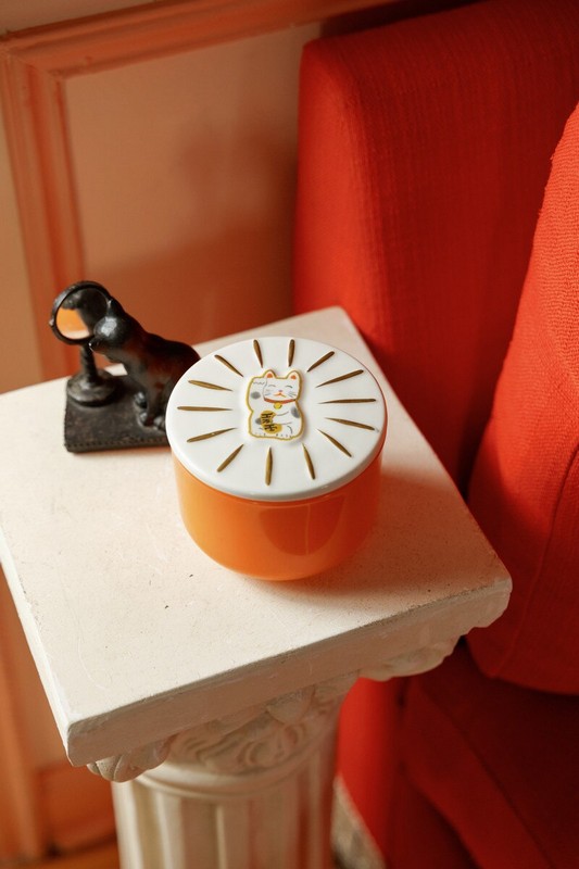 Candela profumata al neroli selvatico in barattolo di ceramica con coperchio con gatto portafortuna cinese in scatola regalo, realizzata in cera di soia con due stoppini, perfetta come candela particolare da regalare