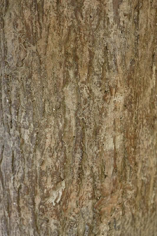 Base tronco per albero di Natale realizzato in modo realistico con effetto legno in resina