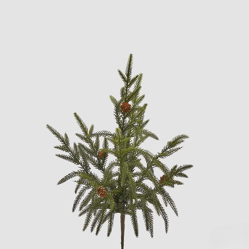 Ramo di pino verde con pigne, perfetto come decorazione invernale