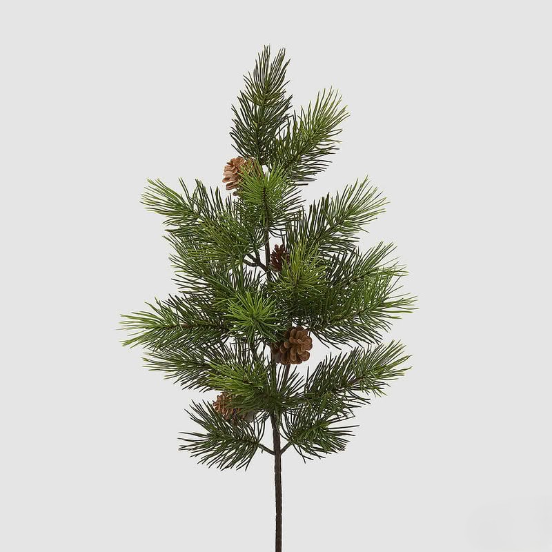Ramo di pino verde con pigne, perfetto come decorazione invernale