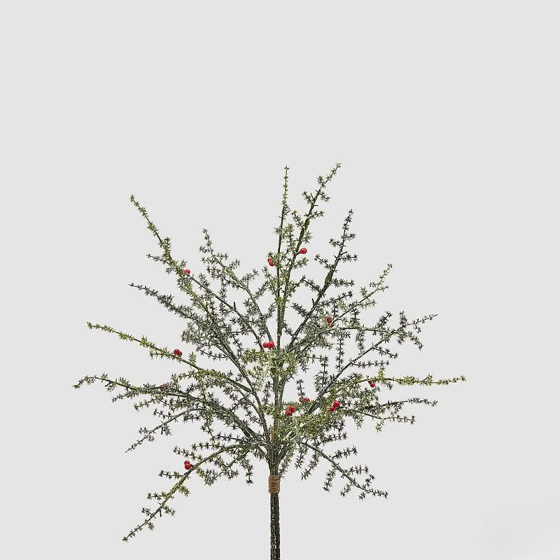 Ramo di tasso verde con bacche rosse, perfetto come decorazione invernale