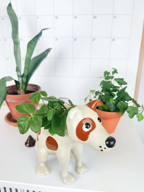 Vaso a forma di cane che fa la cacca realizzato in ceramica
